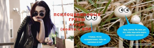 альфа пвп Новозыбков