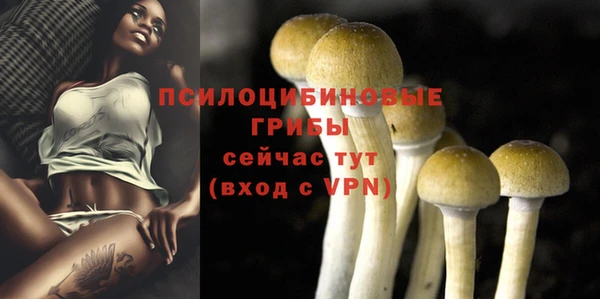 молекула духа Козловка