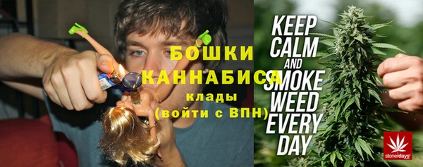 дживик Надым