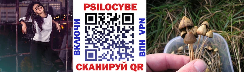 Галлюциногенные грибы MAGIC MUSHROOMS  Кинель 