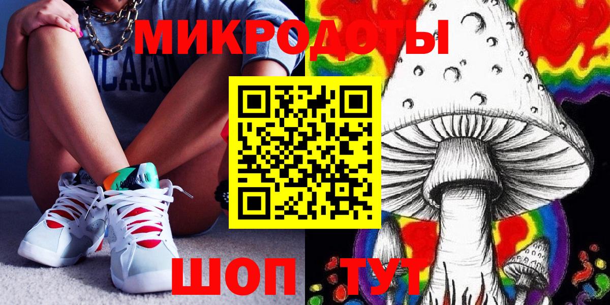 Галлюциногенные грибы Psilocybe Кинель
