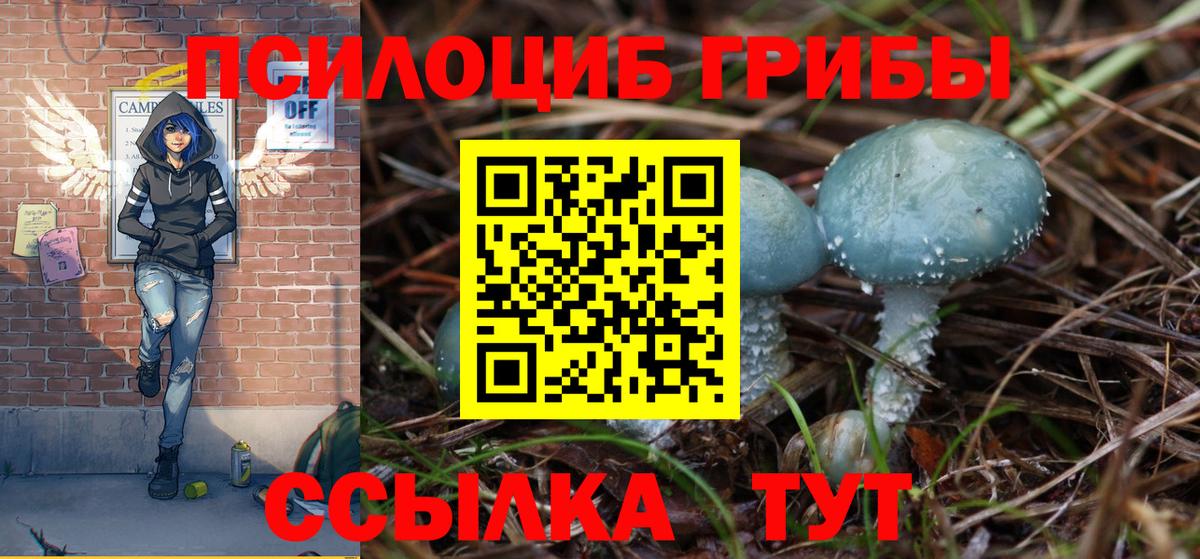 Галлюциногенные грибы мухоморы  Вход с VPN  Кинель 